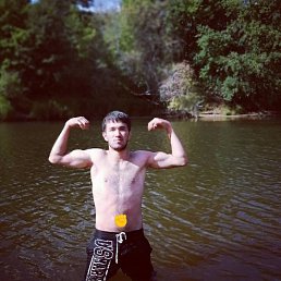 , 26, 