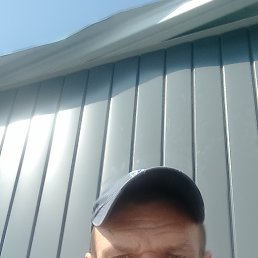 , 41, 