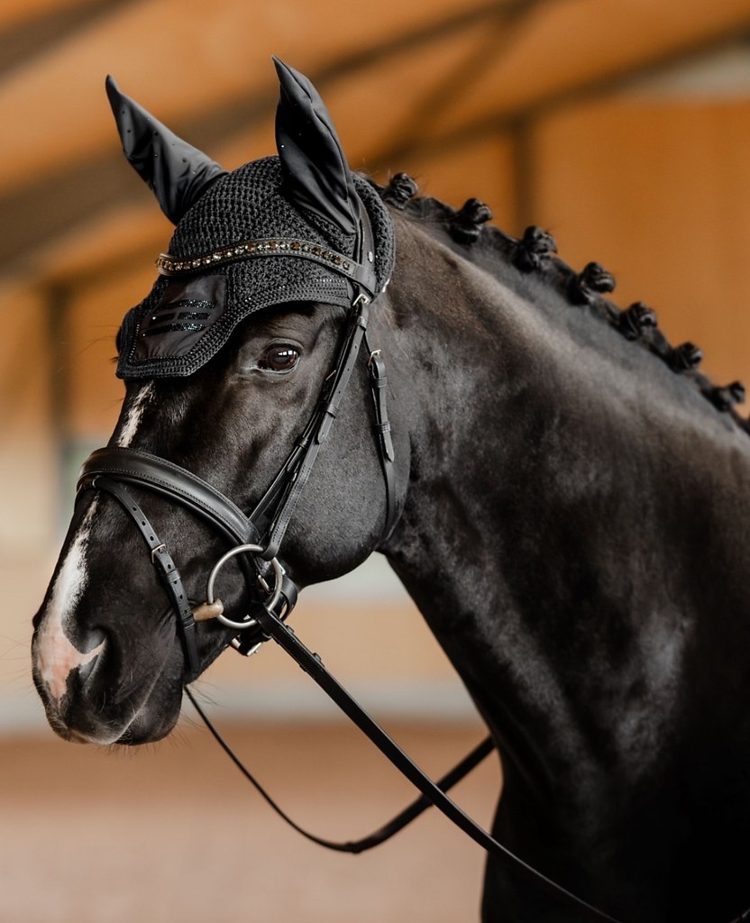  -   ! - 6  2025  11:03