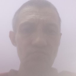 ������, ����, 48 ���