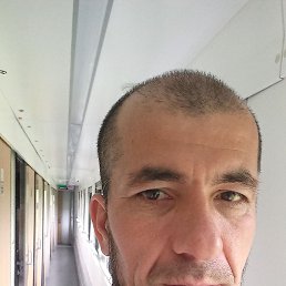 �����, ���������, 43 ����