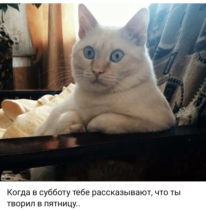 ***Victoria Viktorovna*** - 6  2024  02:57
