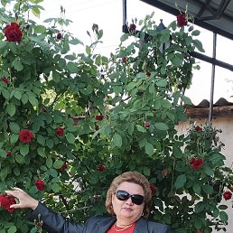 ���� ����, ��������, 57 ��� - ��������� 29 ������ 2026