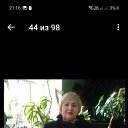 ���� �����, ���, 64 ���� - ��������� 29 ������� 2024 � ������ ���� ����������