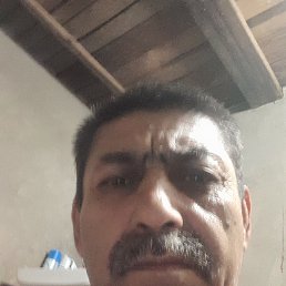 , 57, 