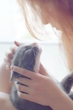 Люди созданы для того, чтобы котикам было с кем жить - 4
