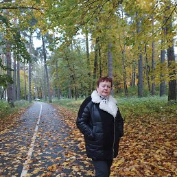 , 65, 