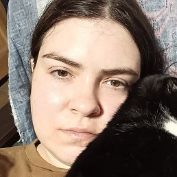 �����, ������-���, 33 ����