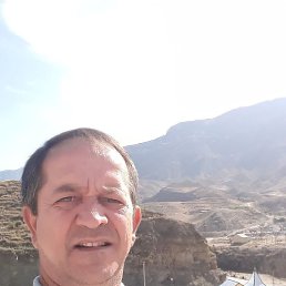 , 54, 