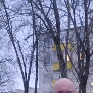 �������, 55 ���, ������