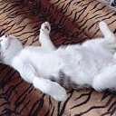 ���� �������, �����-��������� - ��������� 12 ������ 2025 � ������ ������ ��������