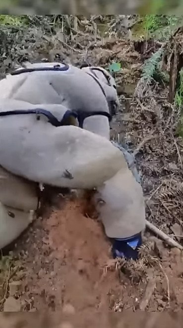   ,      
