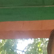 ���������, 37 ���, ������