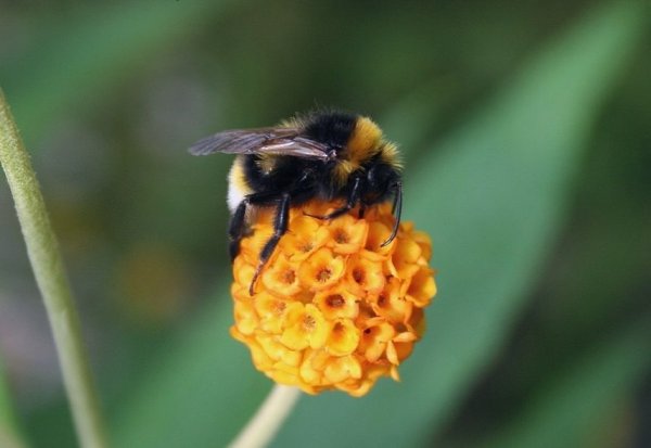   ,    ,    ,   ,   ... - 2