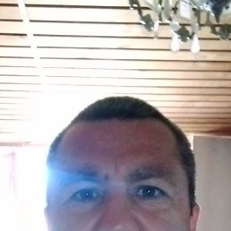 , 49, 