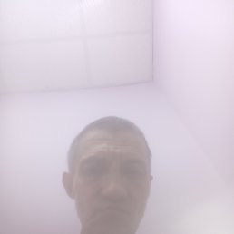 , 47, 