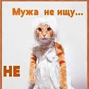 ���� ������, ������, 56 ��� - ��������� 23 ������� 2025 � ������ ���� ����������