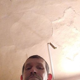 �����, 40 ���, ������