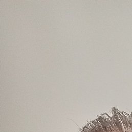 �����, ���������, 59 ���