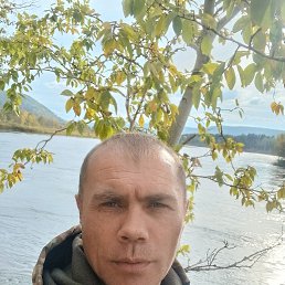 , 41, 