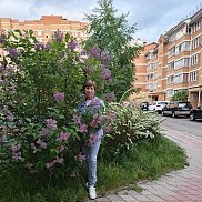 , 65 , 