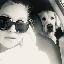 �������, ���������, 54 ����