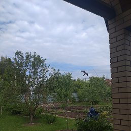 ���� Victor, ������, 75 ��� - ��������� 26 ���� 2024