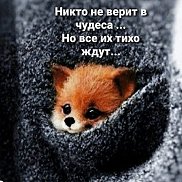 ����, 19 ���, ������