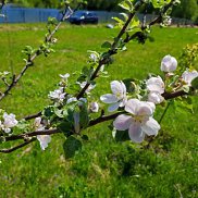 Мусина, 45 лет, Москва Мусина, 45 лет, Москва