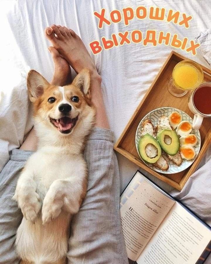   ,    . - 8  2025  13:50