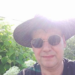 , 55, 