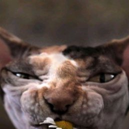 ���� ... � � � �..., ������������, 48 ��� - ��������� 18 ������ 2025