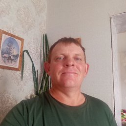 , 37, 