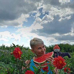 �������, ���������, 50 ���