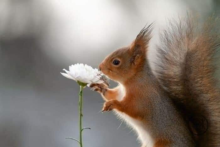 :) ,      (Geert Weggen)    .  ... - 4