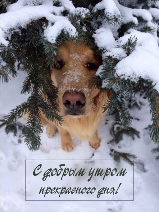 ***Victoria Viktorovna*** - 4  2024  06:23 - 2
