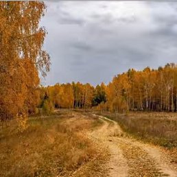 ������, ������, 51 ���