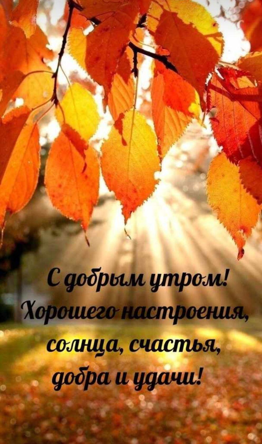 ***Victoria Viktorovna*** - 31  2023  00:02