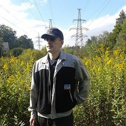 ������, ������, 49 ���