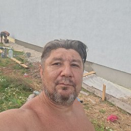 , 52 , 
