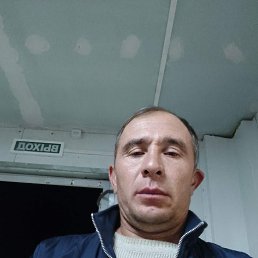 , 46, 