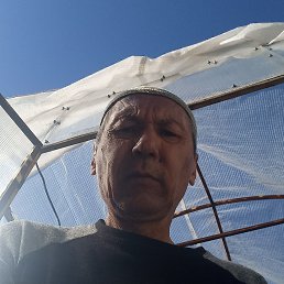 , 57, 