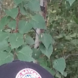 �������, ���������, 63 ����