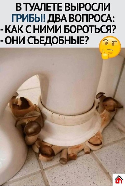 ����� - ���������� �������� ����.