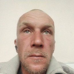 ��������, ������, 40 ���