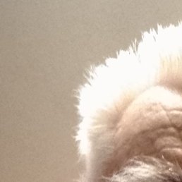 ������, ������, 82 ����