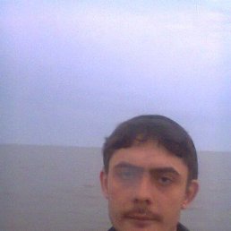 , 33 , 