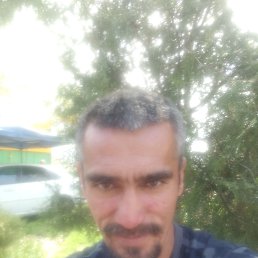 ���� ������, �������, 45 ��� - ��������� 12 ������ 2026