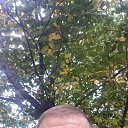 ���� �������, ������, 41 ��� - ��������� 6 ������� 2025 � ������ ���� ����������