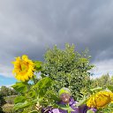 ���� ������, ������������, 66 ��� - ��������� 18 ������� 2026 � ������ ���� ����������